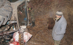 В Амурской области пойманы браконьеры, стрелявшие косуль из под «фары»