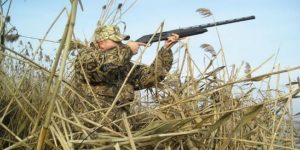 Сезон охоты в Калужской области открыт