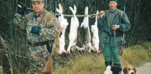 Сроки охоты на пушнину в Московской области