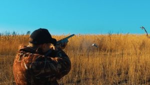 Охотники и фермеры: новая проблема