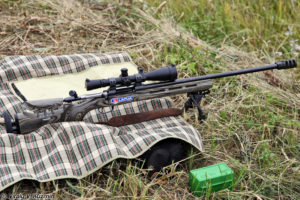 Мультикалиберная снайперка: винтовка для вармитинга и снайпинга