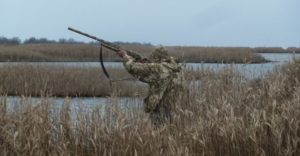 Смоленская область определила планируемые сроки весенней охоты