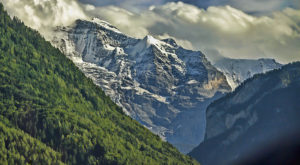 Альпийские щеголи