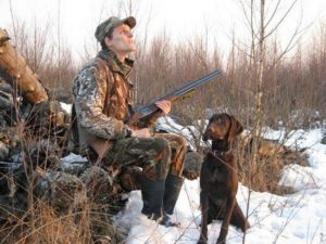 В Московской области определены сроки охот на пушнину в осенне-зимнем сезоне