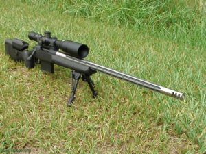 Мультикалиберная снайперка: винтовка для вармитинга и снайпинга