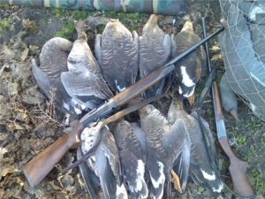 Оружие для охоты на гусей