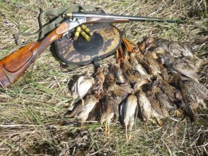 Сроки охот в Кировской области