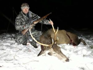 Челябинской области открылась охота на косулю и лося