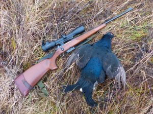 Сроки весенней охоты в Ярославской области