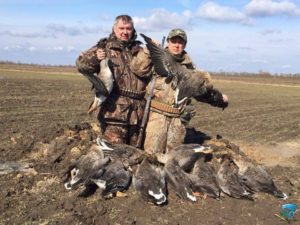 Охотникам Беларуси расширят список пернатых на которых можно охотиться