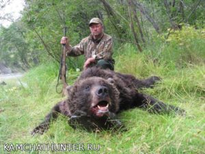 Уголовную ответственность могут ввести в РФ за охоту на бурого медведя