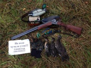 Охотникам Беларуси расширят список пернатых на которых можно охотиться
