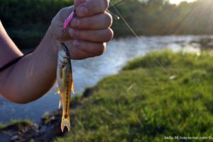 Татарстан: рыба есть, но ловить надо уметь
