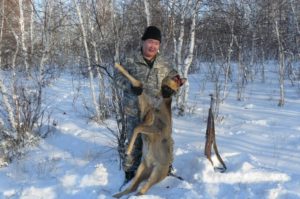 С первым снегом началась охота на лосей, кабанов и косуль в Тамбовской области