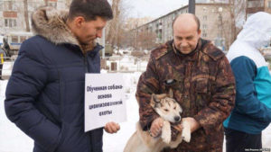 Госдума выступает против охотничьих собак