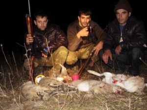 Первые охотничьи аукционы прошли. На Кавказе теперь будут охотиться по-новому.