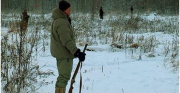 В Мурманской области установлены сроки охоты