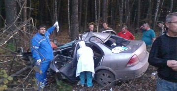 Сегодня утром на трассе Липецк – Усмань автомобиль сбил самку лося