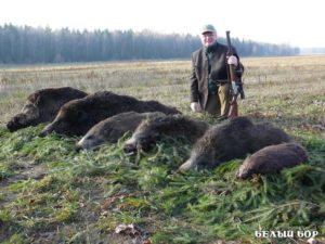 Почему в Россию не едут иностранные охотники?