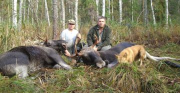В Свердловской области начался сезон охоты на медведя, кабана и птицу