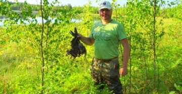 Сроки летне-осенних охот по перу в Тверской области