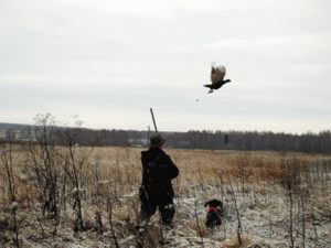 Охотники и фермеры: новая проблема