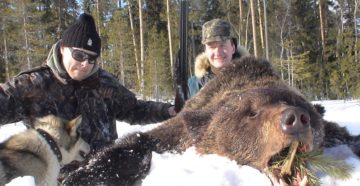 О запрете охоты на медведя в Башкортостане