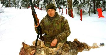 Удмуртских охотников за отстрел лисиц будут поощрять разрешением на добычу кабана