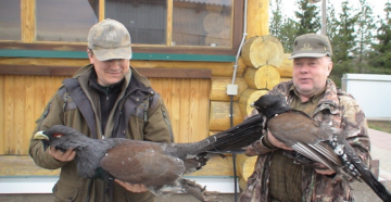 В Псковской области охоту планируют сделать доступнее для местных жителей