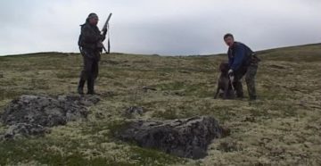 В Мурманской области начинается сезон охоты на боровую и водоплавающую дичь