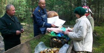 Лесники незаконно штрафовали людей за сбор ягод и грибов
