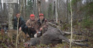 В Новгородской области готовятся ограничения охоты