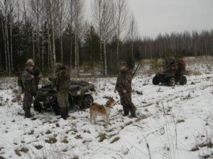 Сроки охот в Кировской области