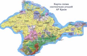 Часть охотничьих угодий в Крыму будет общедоступна