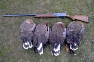 Оружие для охоты на гусей