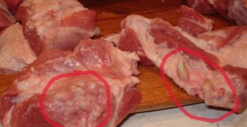 Пятеро курян заболели трихинеллезом после употребления мяса кабана